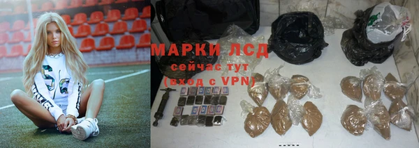 прущие грибы Абаза