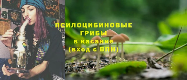 ECSTASY Покачи